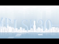 ডাব্লুপিসি অ্যালুমিনিয়াম 2 আরডি এলএসকে 30-50